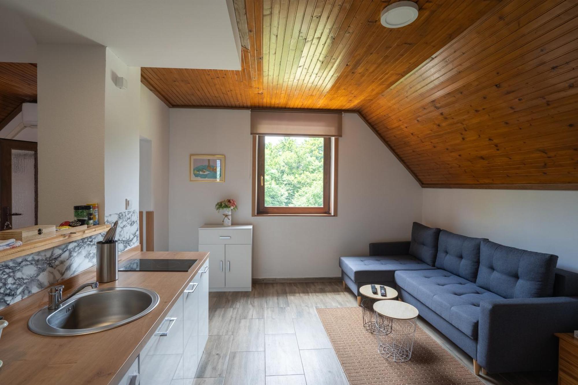 Apartment Ivanka Rastovaca Ngoại thất bức ảnh